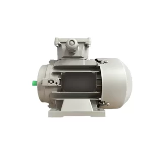 Motor de Pulido